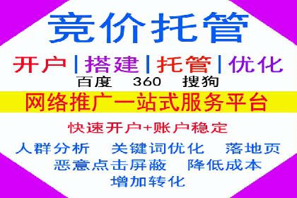 搜索引擎竞价推广：某行业领先企业的成功之路